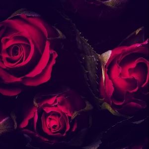 Meet your Posher, Meredith